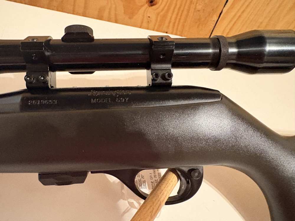 Remington 597 22LR with scope-img-10