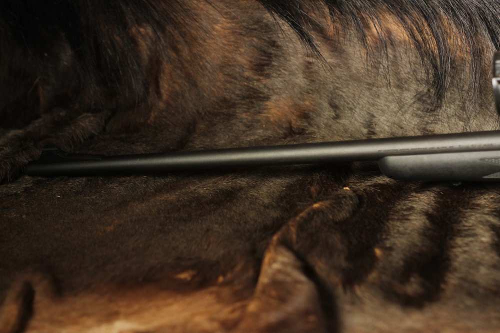 Remington 700SPS - 7mm Rem Mag-img-8