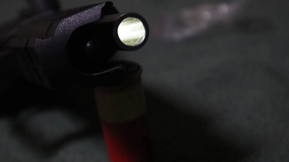 Magnum Research Baby Eagle II .40 S&W -img-20