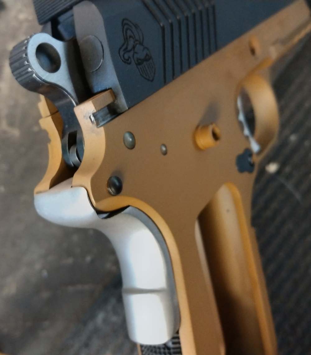 Para Ordnance LDA Cutaway Frame/Training Examples-img-17