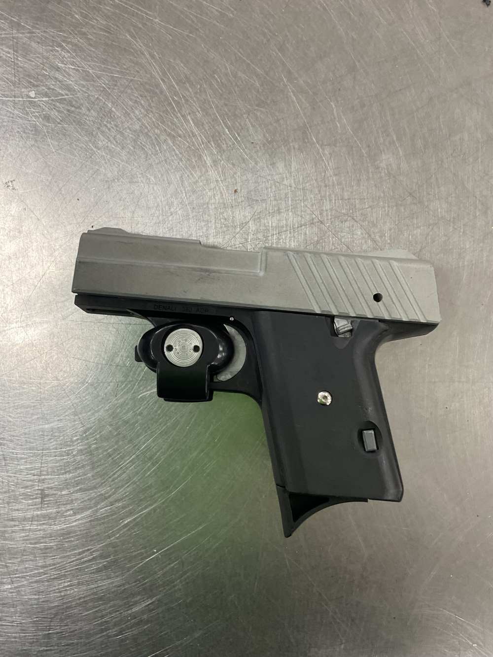 Cobra Denali 380acp-img-1
