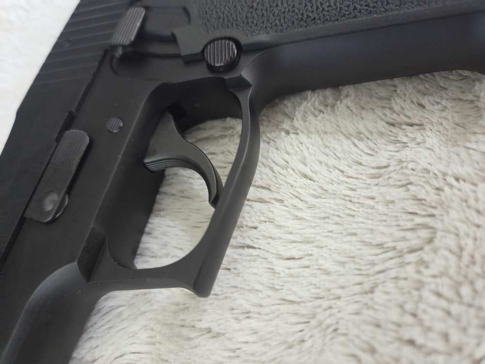 SIG Sauer P220 Pistol .45 ACP German-Marked Slide -img-14