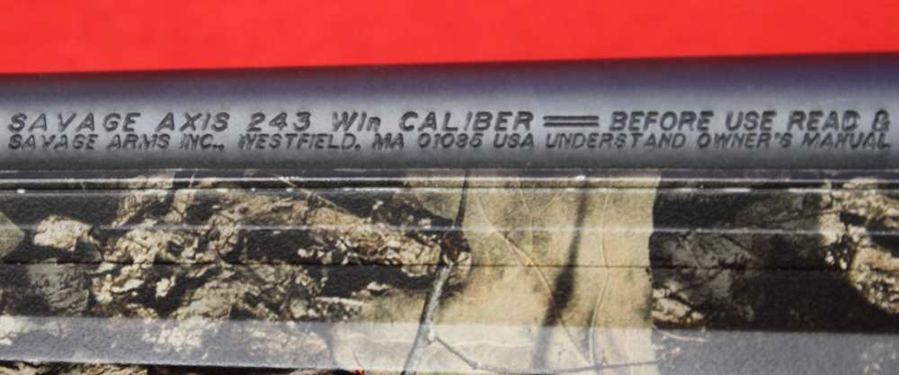 Savage Axis .243 Win 20" 4+1 Camo-img-2
