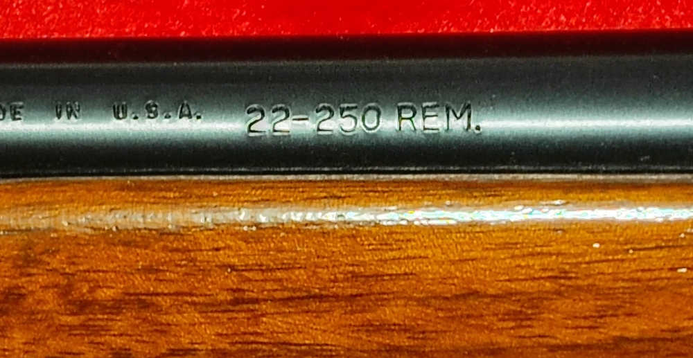 Remington Model 788 cal. 22-250 Rem 24" Barrel-img-12
