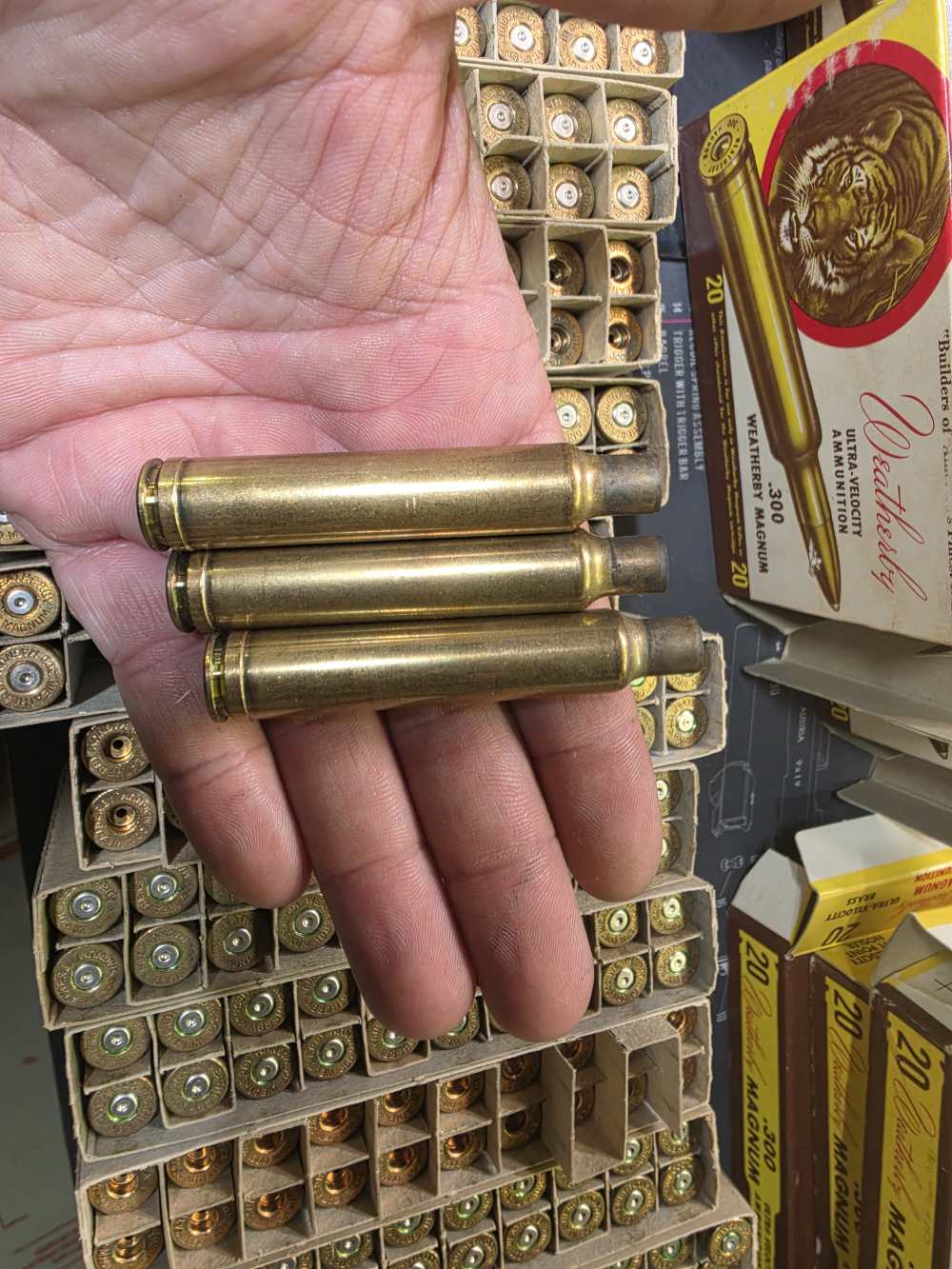 300 Weatherby Magnum Empty Brass 217 Pieces w/ Boxes-img-2
