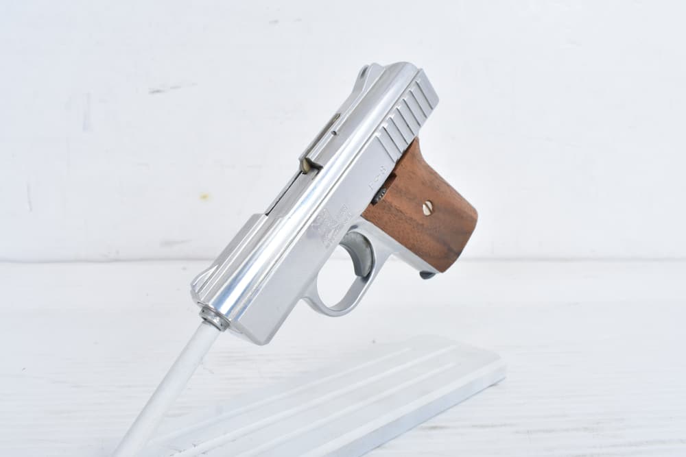 Raven Arms P-25 .25 ACP – Stainless – Very Clean – Box & Manual-img-4