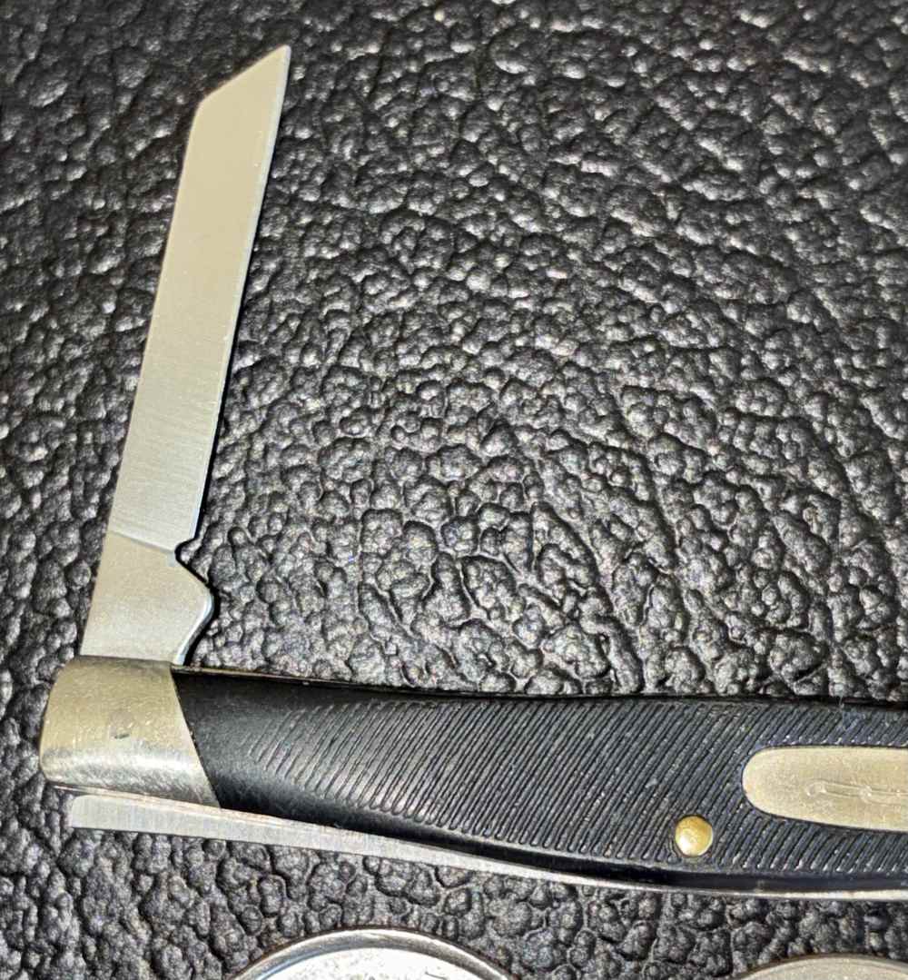 Buck 305X USA 2-Blade Small Knife-img-2