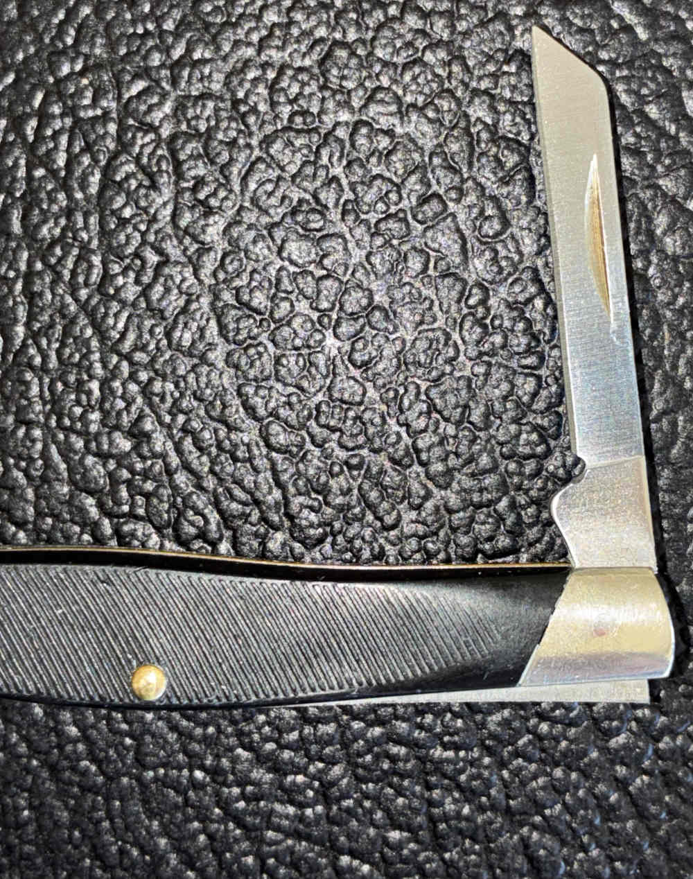 Buck 305X USA 2-Blade Small Knife-img-3