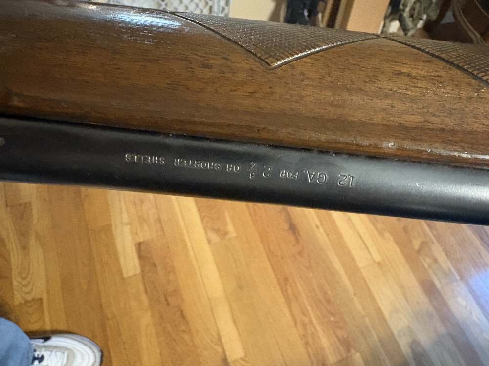 Remington Sportsman model 48-img-3