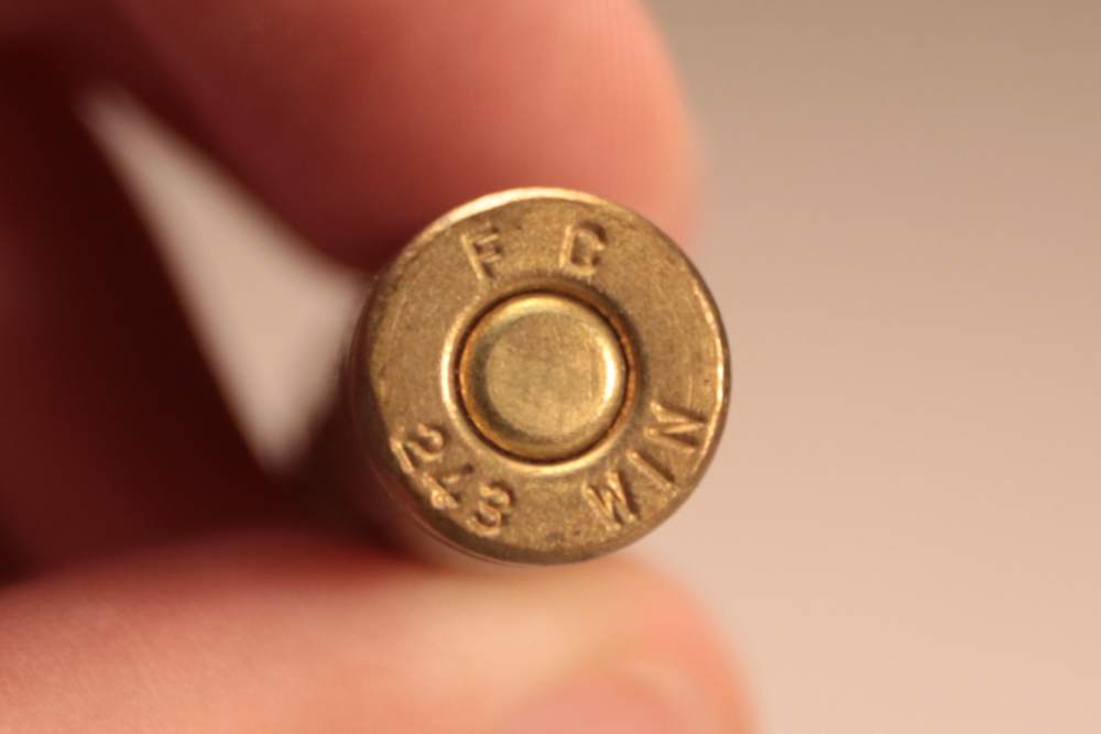 Federal Premium 243 Win Nosler Ballistic Tip Ammo (40rds)-img-8