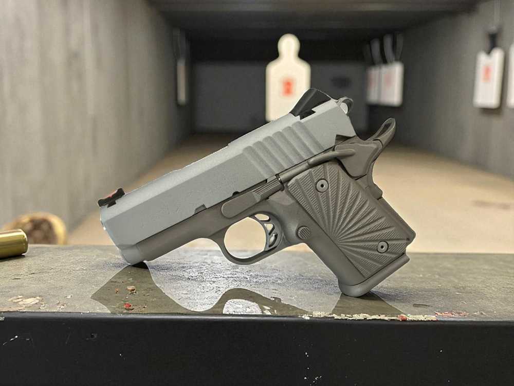 Para Ordnance Warthog Custom P10 Light Weight P12 -img-2