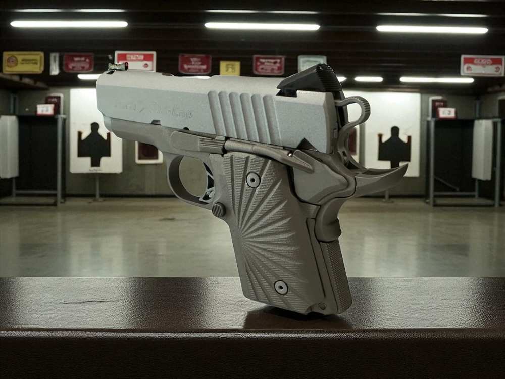 Para Ordnance Warthog Custom P10 Light Weight P12 -img-17