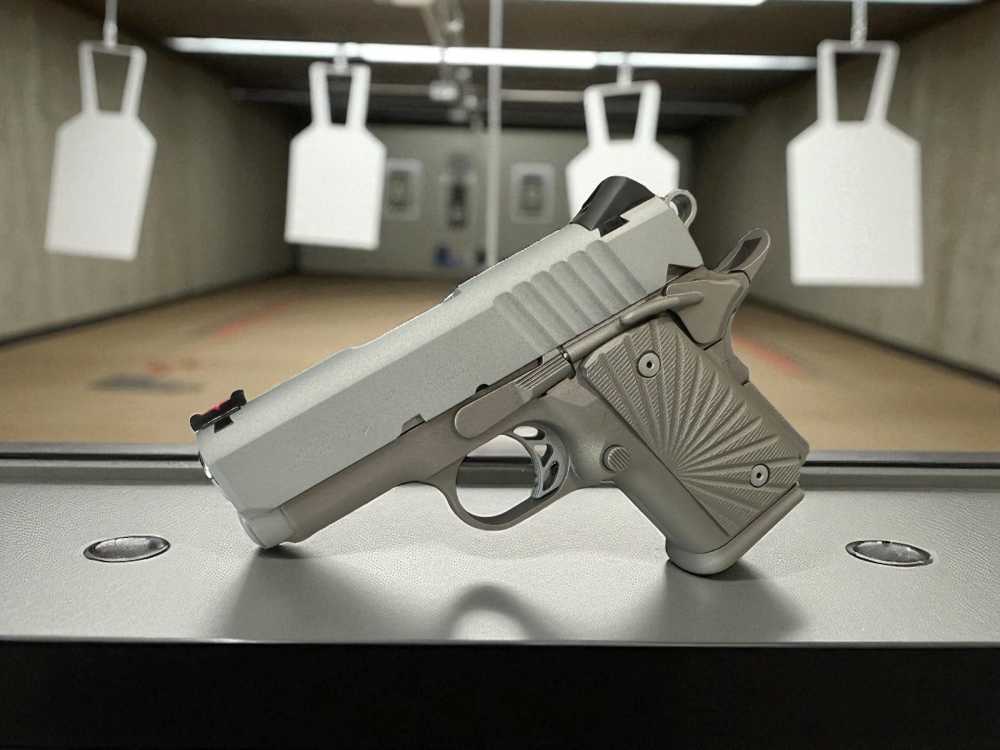 Para Ordnance Warthog Custom P10 Light Weight P12 -img-5