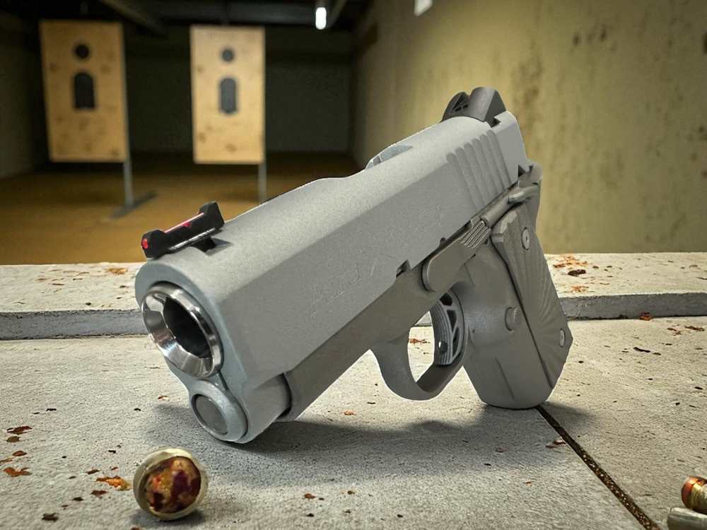 Para Ordnance Warthog Custom P10 Light Weight P12 -img-19