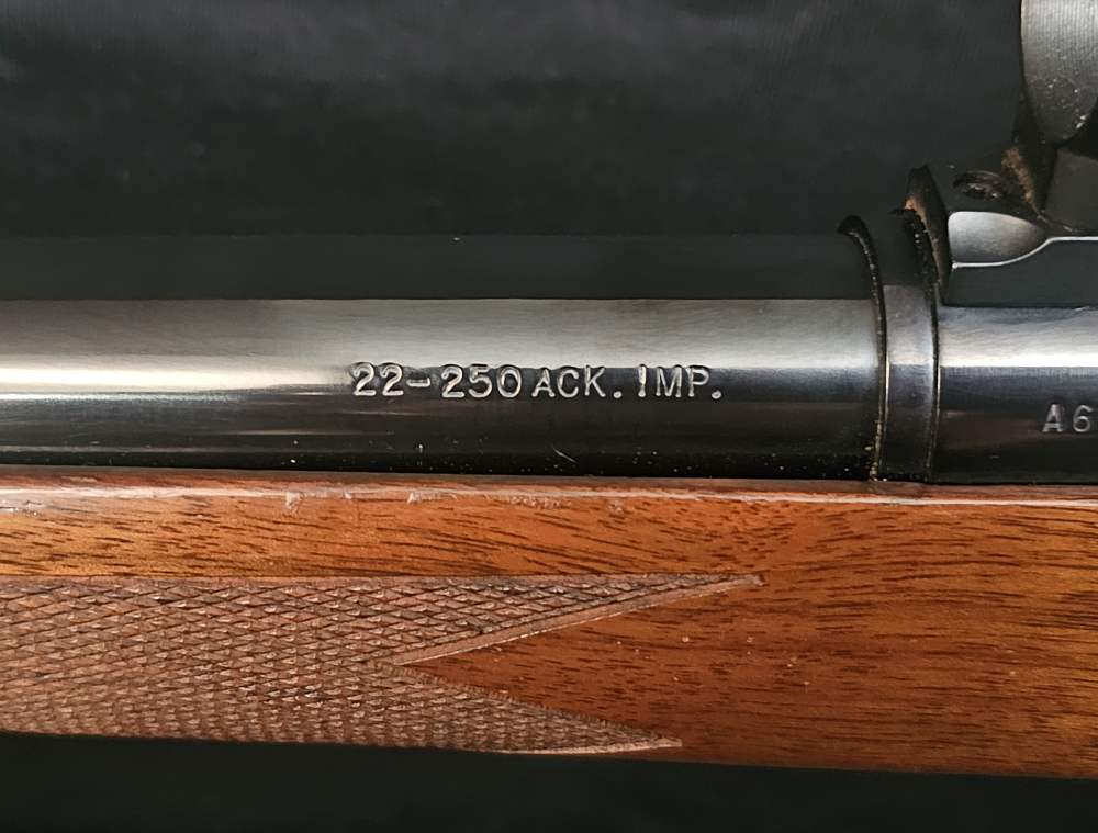 Remington 700 22-250 ACK. IMP. Rifle-img-4