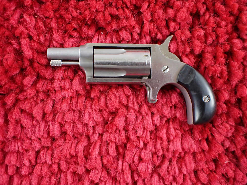 Freedom Arms MINI 22 WMR Magnum 1.75" Stainless-img-3