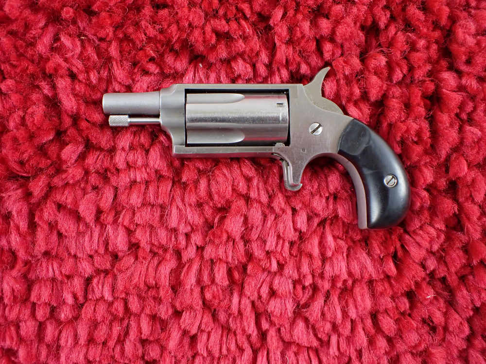 Freedom Arms MINI 22 WMR Magnum 1.75" Stainless-img-2