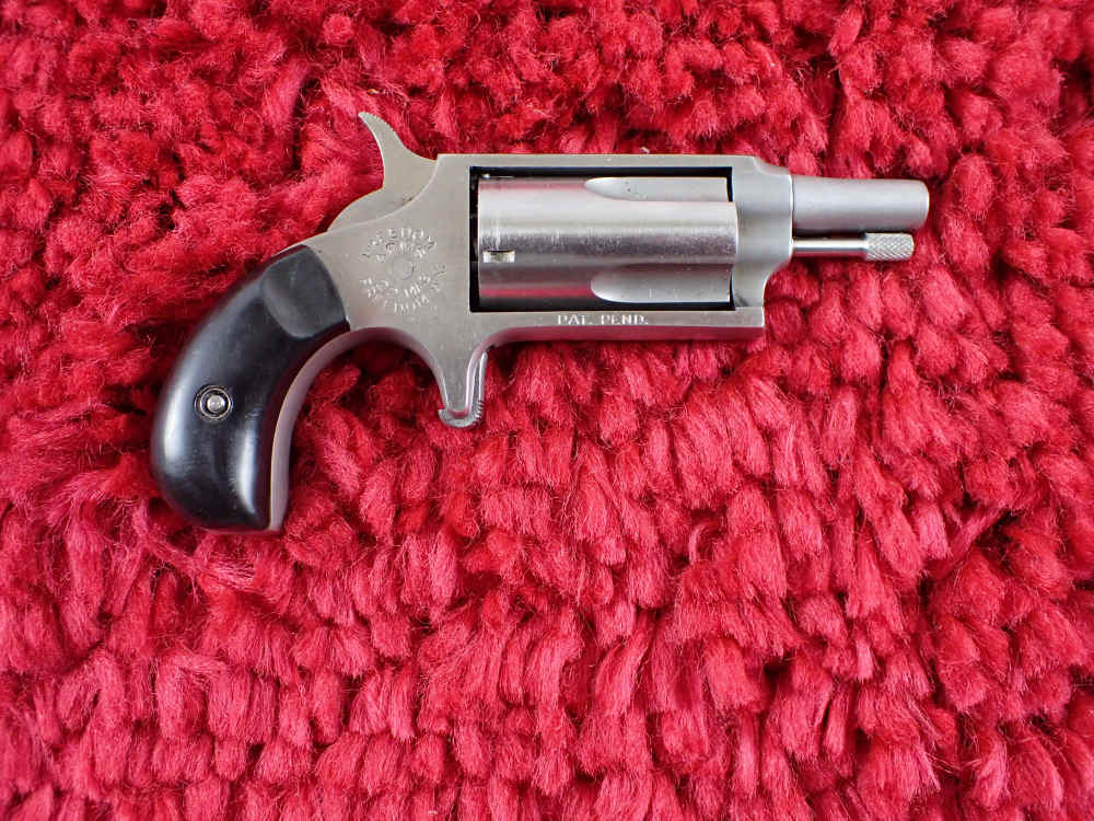 Freedom Arms MINI 22 WMR Magnum 1.75" Stainless-img-1