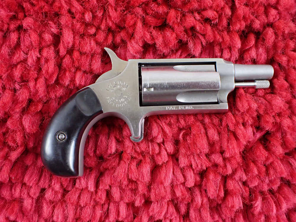 Freedom Arms MINI 22 WMR Magnum 1.75" Stainless-img-0
