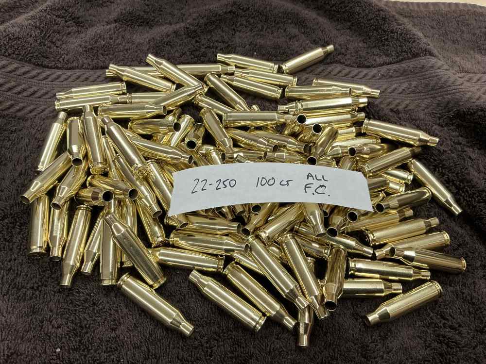 100 Ct 22-250 Brass cases Federal Headstamp previously fired-img-0