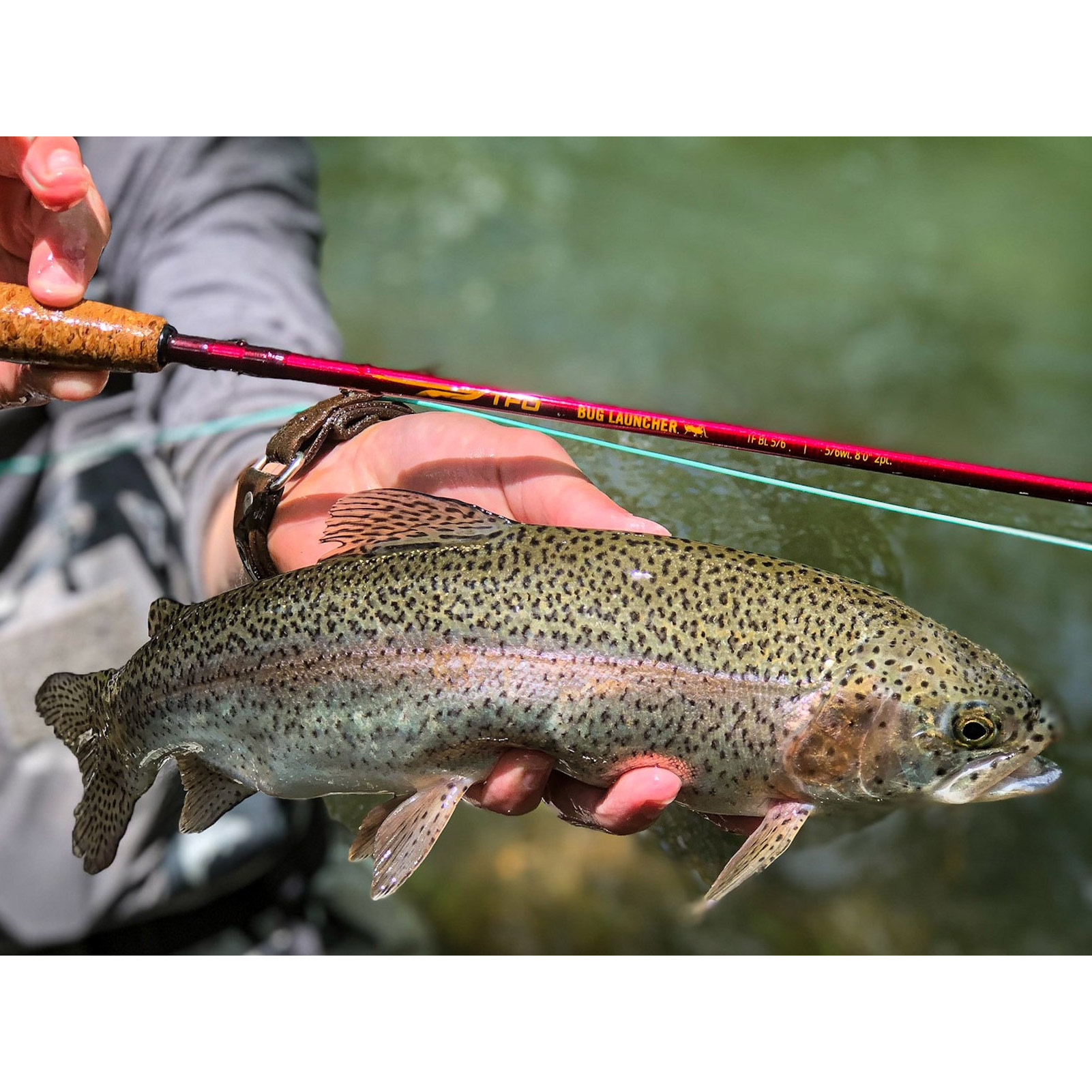 TEMPLE FORK OUTFITTERS Bug Launcher 4-5wt 7ft 2pc Fly Rod (TF-BL-45)-img-7