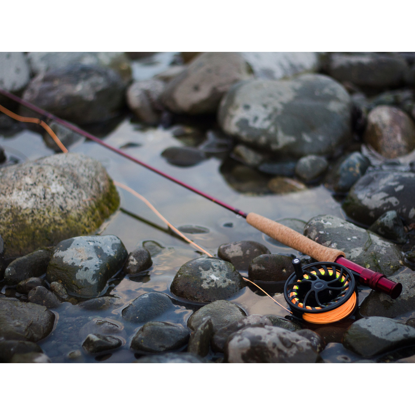TEMPLE FORK OUTFITTERS Bug Launcher 5-6wt 8ft 2pc Fly Rod (TF-BL-56)-img-3