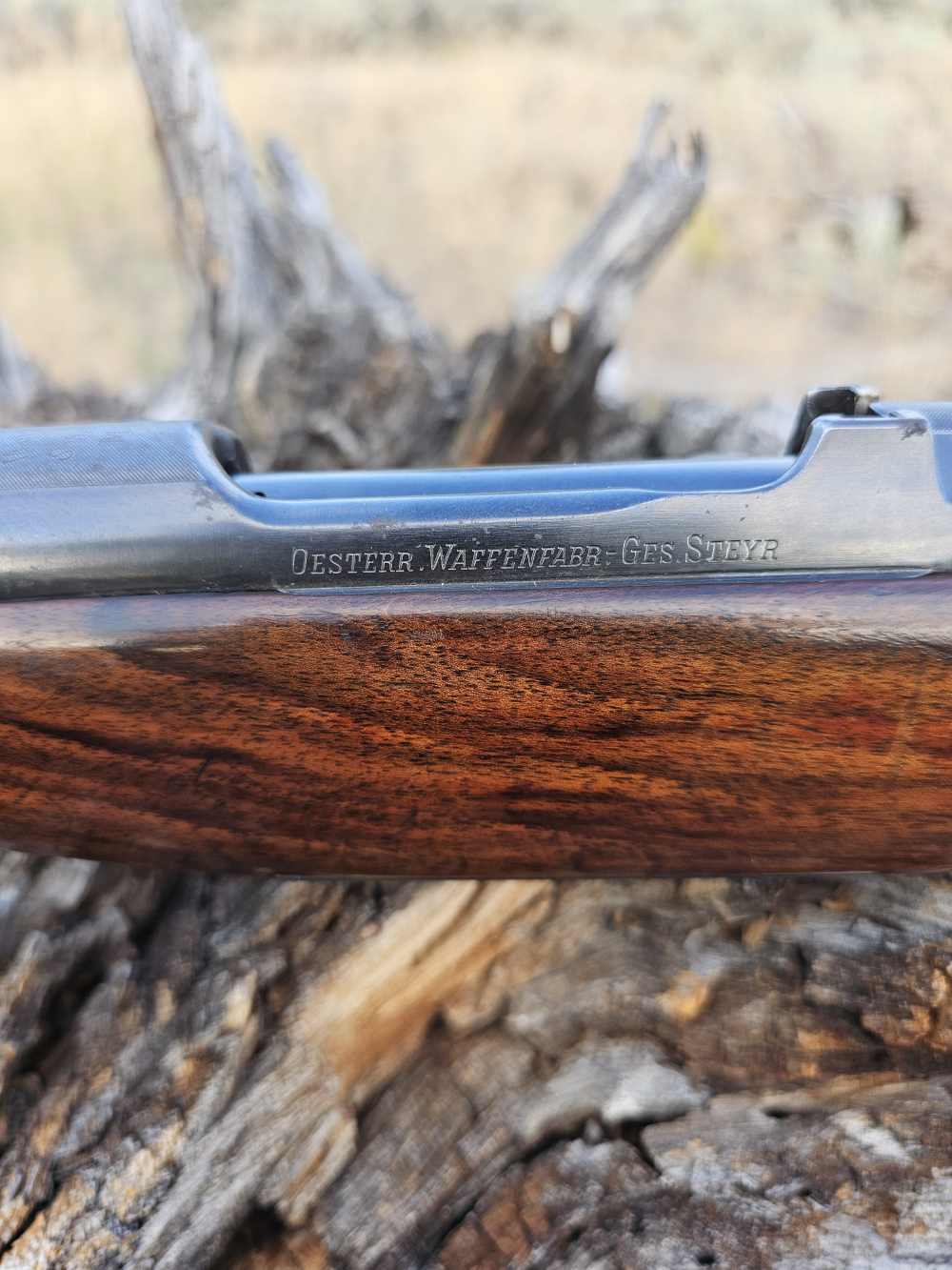 Model 1903 Mannlicher-Schoenauer Early Full Stock Carbine 6.5x54 C&R OK $1-img-4