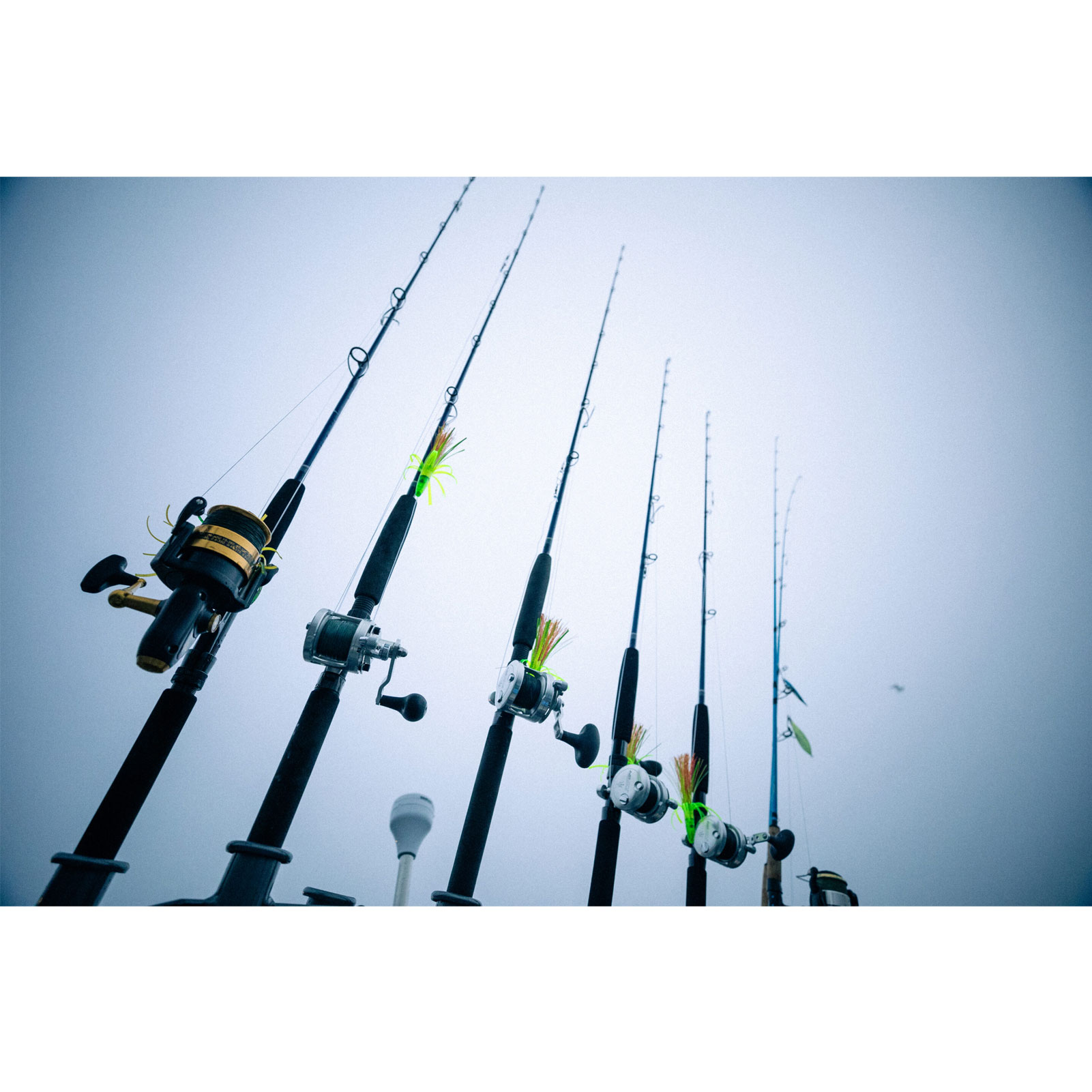 TFO Seahunter 7ft Live Bait 1pc Spinning Rod (TAC-SHC-LB)-img-5