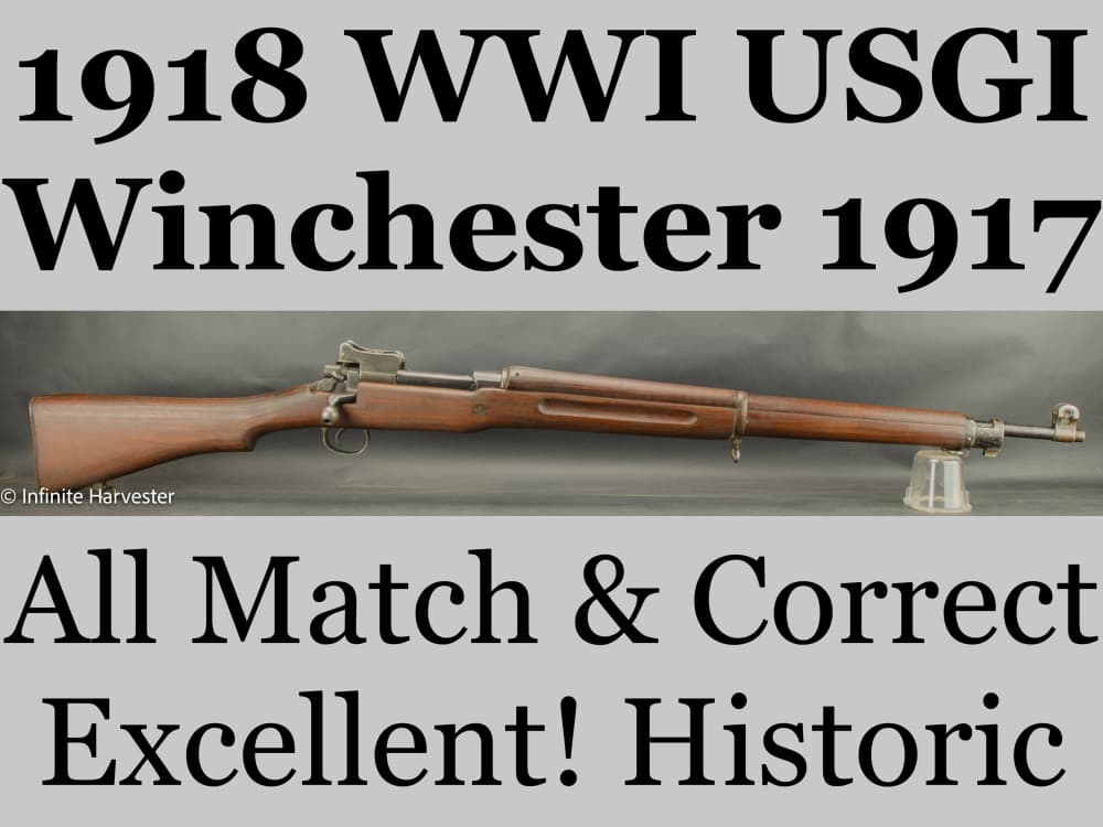 Winchester 1917 M1917 Enfield-img-0