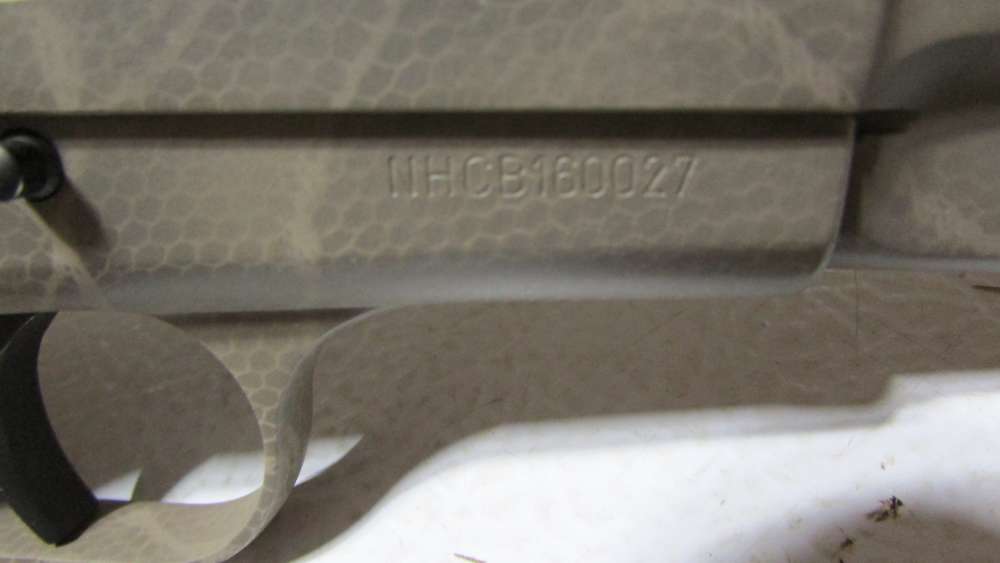 NIGHTHAWK CUSTOM HI POWER-img-11