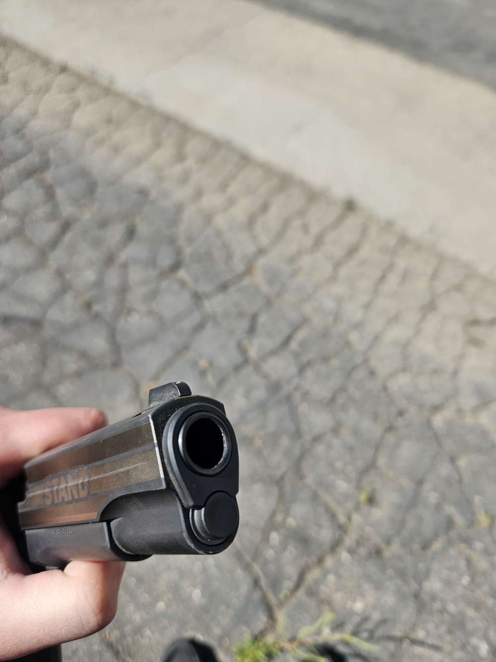 SIG SAUER 1911 "STAND"-img-11