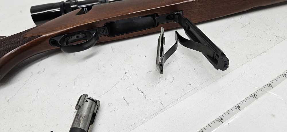 Ruger M77 .243 WIN - 1983 - Bushnell Sportview -  22 in Barrel Exc - Strap -img-3
