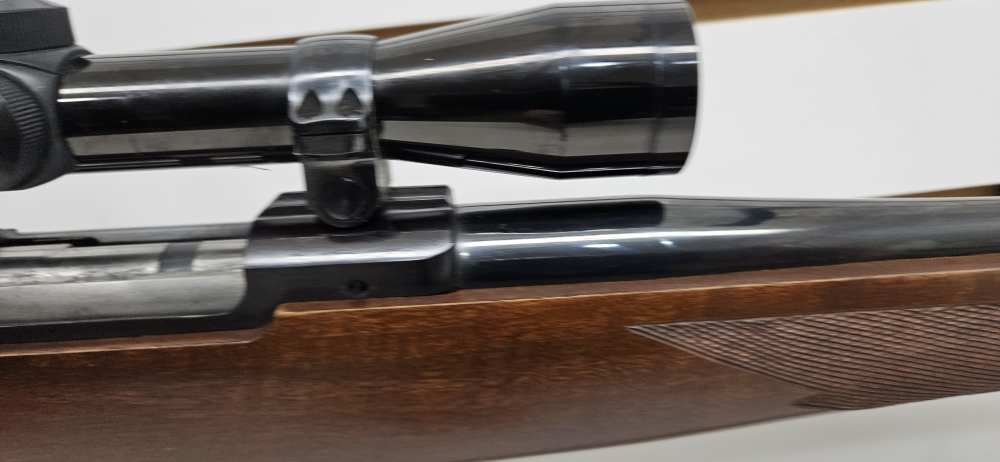 Ruger M77 .243 WIN - 1983 - Bushnell Sportview -  22 in Barrel Exc - Strap -img-12
