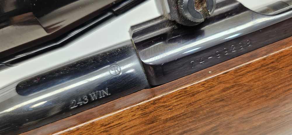 Ruger M77 .243 WIN - 1983 - Bushnell Sportview -  22 in Barrel Exc - Strap -img-33