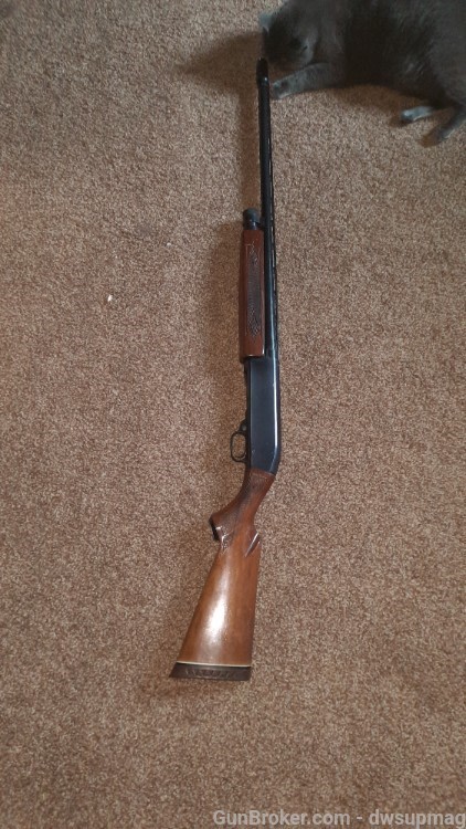 Ted Williams Sears Roebuck model m-200 20ga pump shotgun 3in chamber-img-0