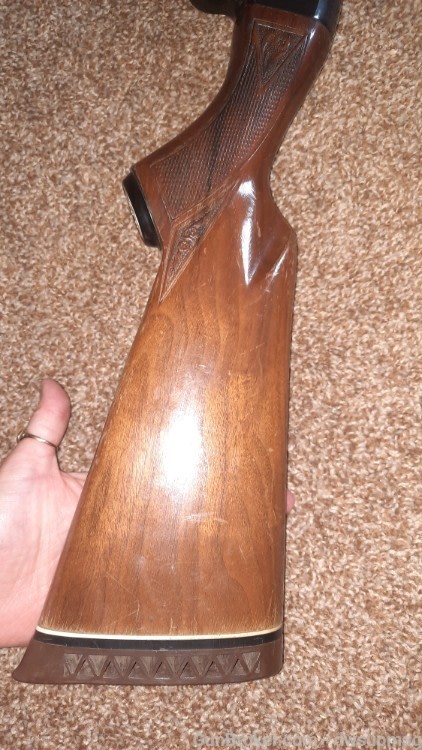 Ted Williams Sears Roebuck model m-200 20ga pump shotgun 3in chamber-img-5