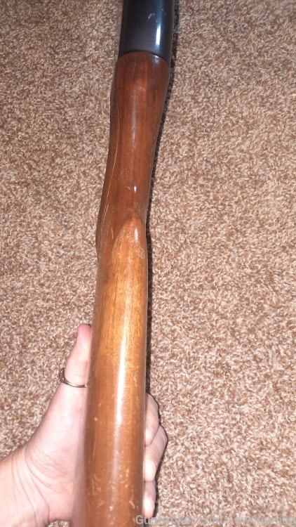 Ted Williams Sears Roebuck model m-200 20ga pump shotgun 3in chamber-img-1