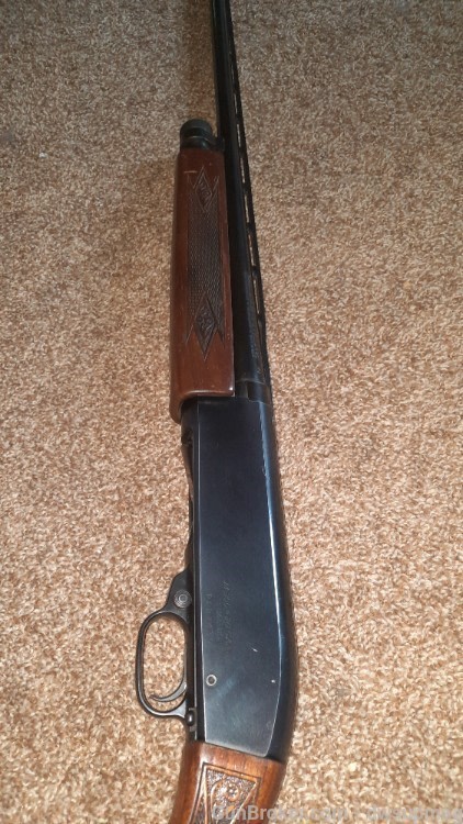 Ted Williams Sears Roebuck model m-200 20ga pump shotgun 3in chamber-img-4