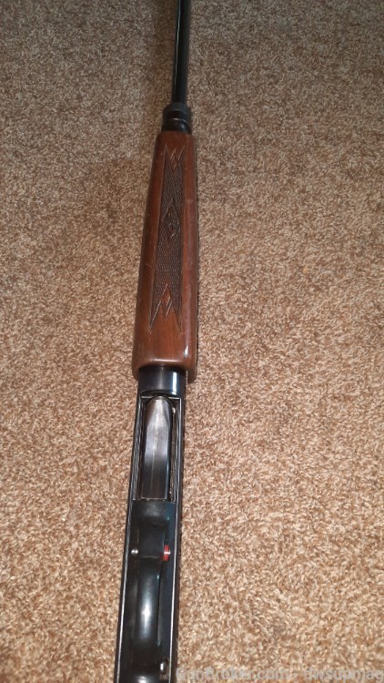 Ted Williams Sears Roebuck model m-200 20ga pump shotgun 3in chamber-img-6