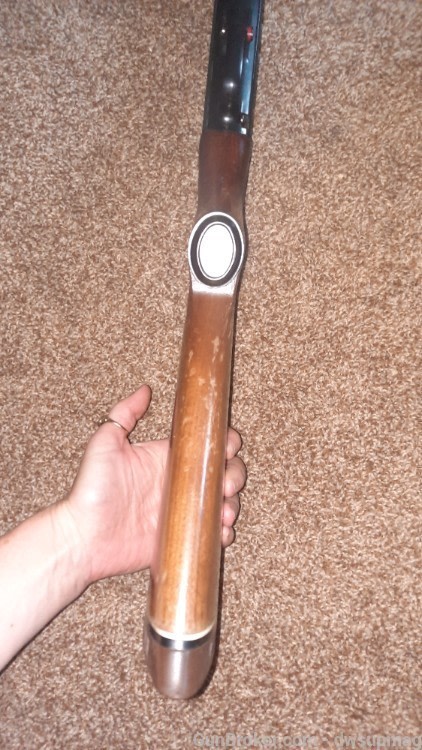 Ted Williams Sears Roebuck model m-200 20ga pump shotgun 3in chamber-img-7