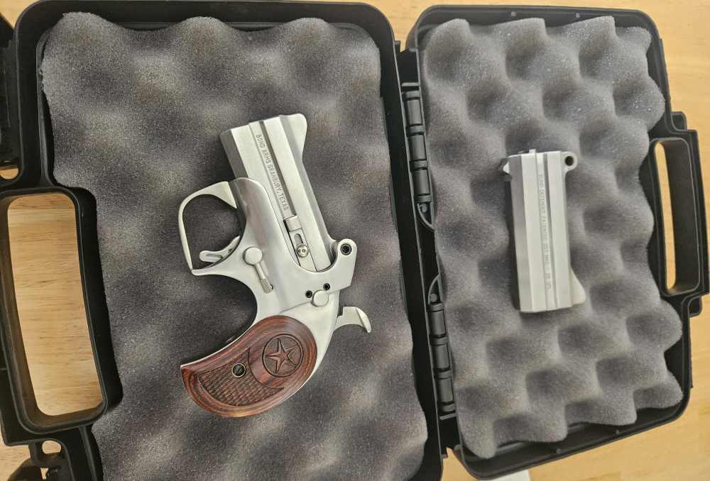 Bond Arms Texas Defender-img-3