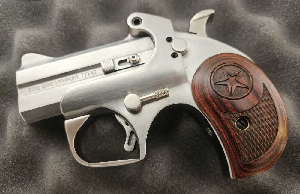 Bond Arms Texas Defender-img-2