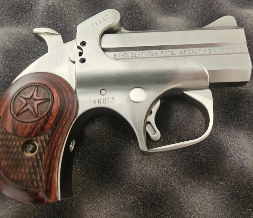 Bond Arms Texas Defender-img-1