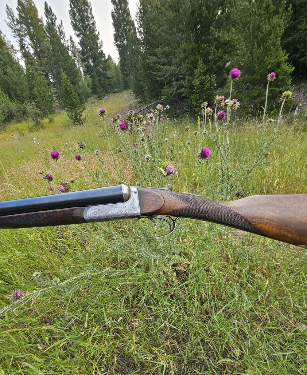 Daniel Fraser (Scotland) Fine Nitro Proved 12 Ga Boxlock No FFL Needed $1-img-2