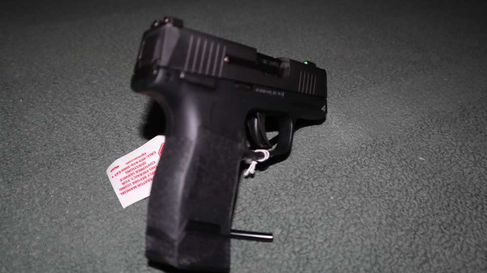 Sig Sauer P365-img-5
