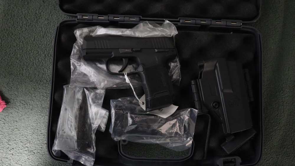 Sig Sauer P365-img-2