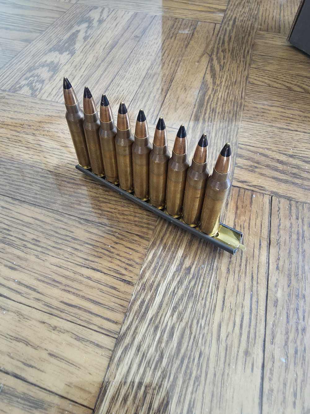 M955 Ammo-img-0