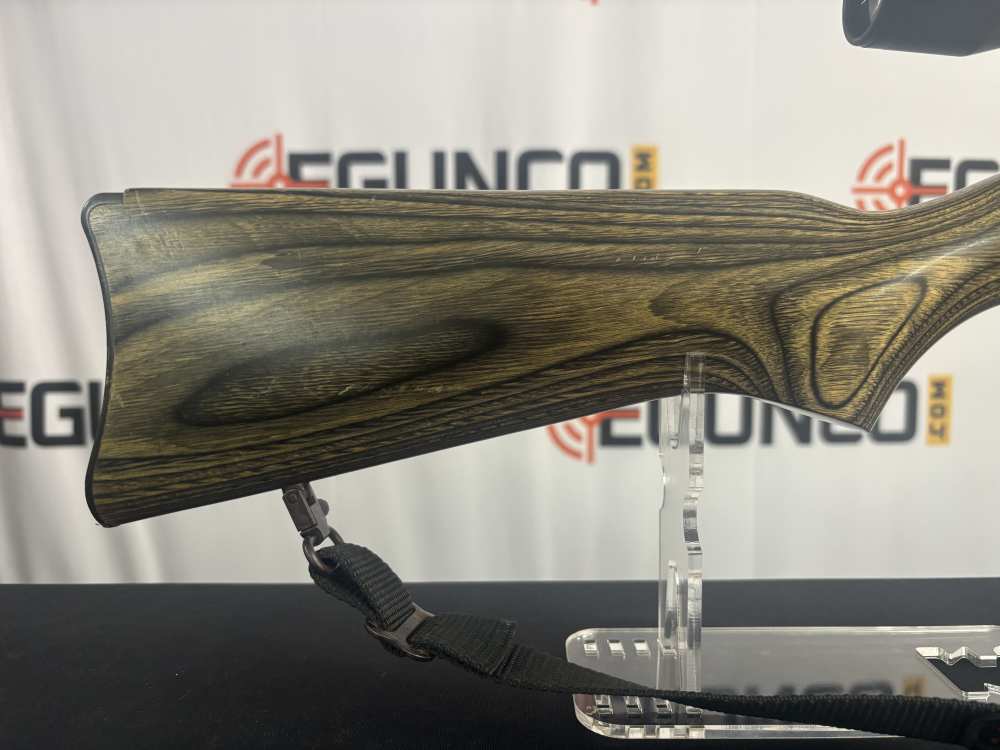 RUGER 10/22 CARBINE SS LAMINATE 22LR MFG 1994 USED-img-1