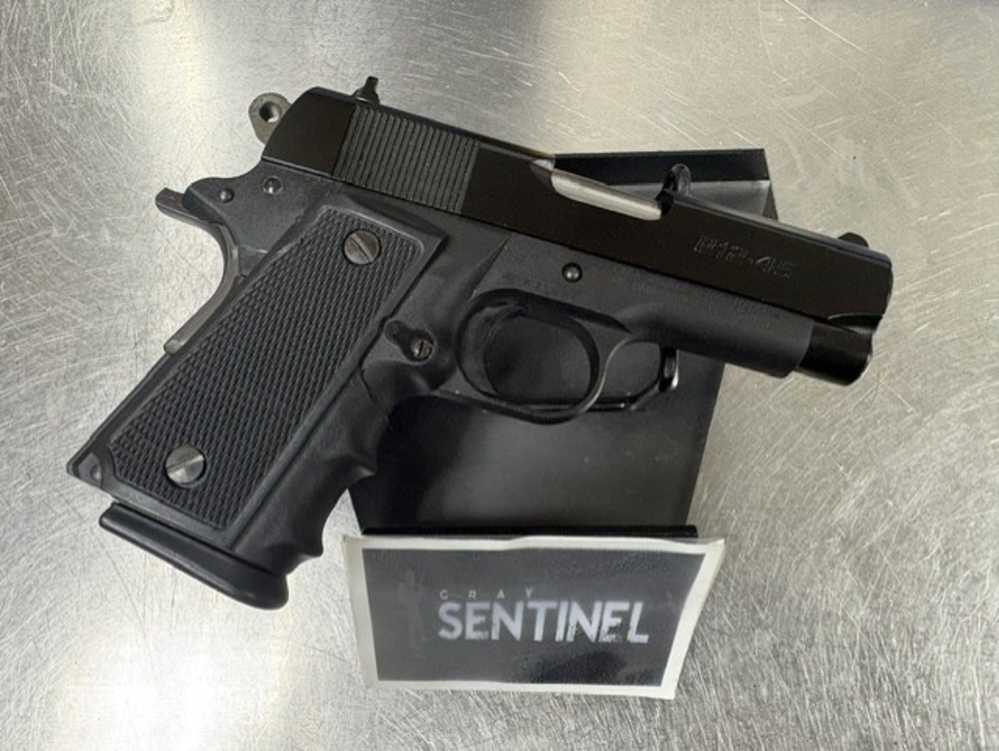 PARA-ORDNANCE P12 – .45 ACP – 3.5"-img-1