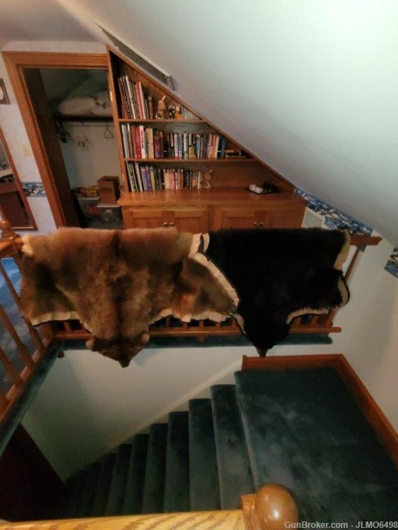 Animal Taxidermy Mount Collection 135 Total Mounts-img-17